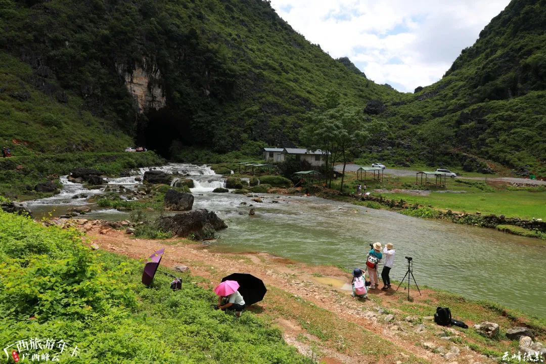 草原|大明山下这个野景火了！露营探洞玩水赏瀑样样给力| 广西旅游年卡