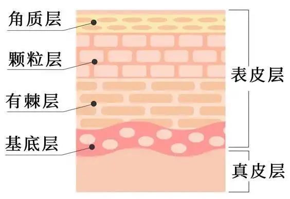 黑色素 为什么皮肤会暗沉还满脸油光的？