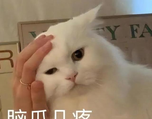 |中年残酷人生：如果你裸辞，配偶一人的工资可以支撑全家开销吗？