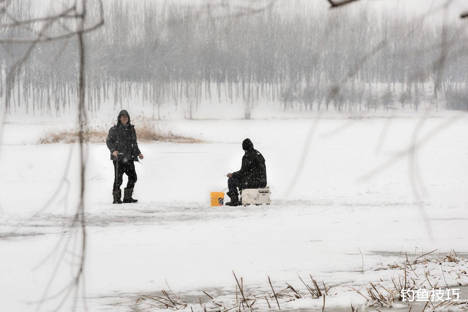 |冬末钓鱼的4个要点,都是提高中鱼率的关键点