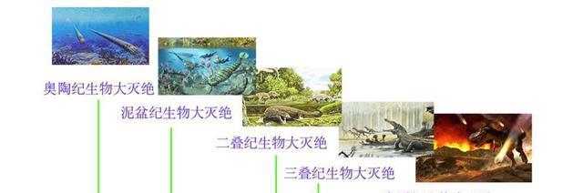 熬过3次生物大灭绝!明明是生物界活化石,如今却被用来喂鸡?