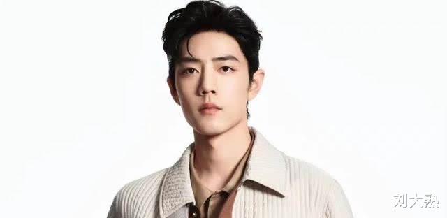 肖战|肖战:在外愉悦了人的眼睛,在内取悦了人的心灵