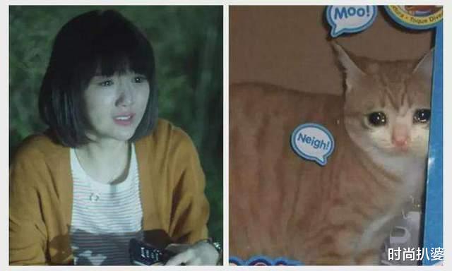 春晚|春晚预热，李玟惊喜亮相，毛晓彤穿虎纹赵丽颖金色礼服仙气精致