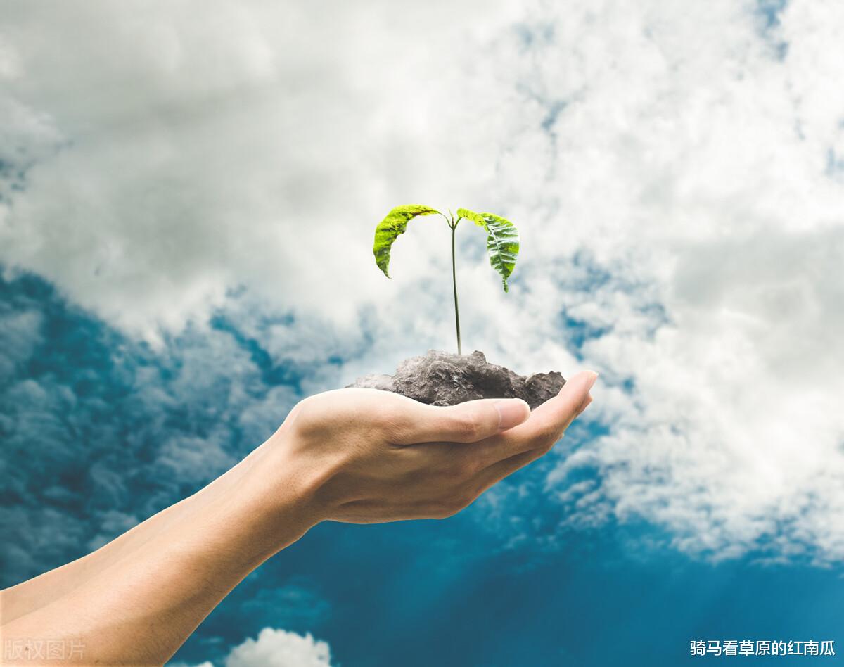 |如何步步争先，走向职场巅峰，这本书里全有