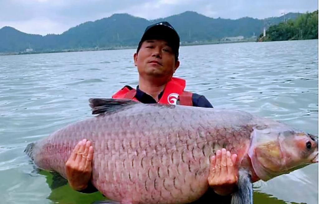 |天元邓刚代言吉利豪越L，出去“盘老板”可以带更多装备了！