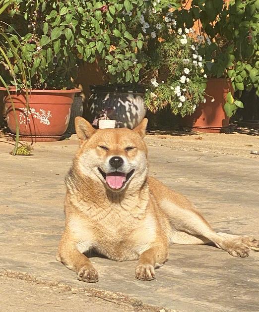 杨紫|谭松韵：周末外出放轻松，赶在寒冬来临之前裹着厚围巾外出晒太阳