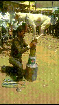 保安|着急给姑娘找工作的妈妈该有多操心？哈哈哈保安这个工作可以一试