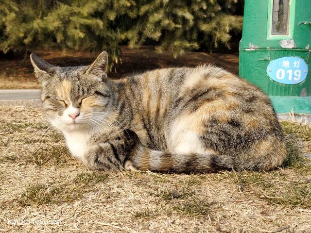 高通骁龙|对比同行，“网红”真我GT2到底香不香？上手试试就知道！