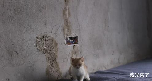 那个挨骂的毛坯房女孩