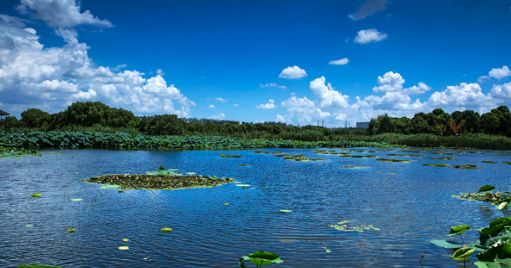 睡眠|想跳脱做了十年的工作，职业生涯遇到瓶颈了
