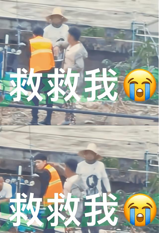 王一博|爱到深处自然黑！王一博被虫盯秒变小可怜，瞪眼照意外撞脸旺仔