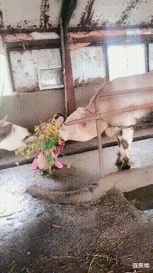 发型 “发型对男生颜值的影响有多大？”