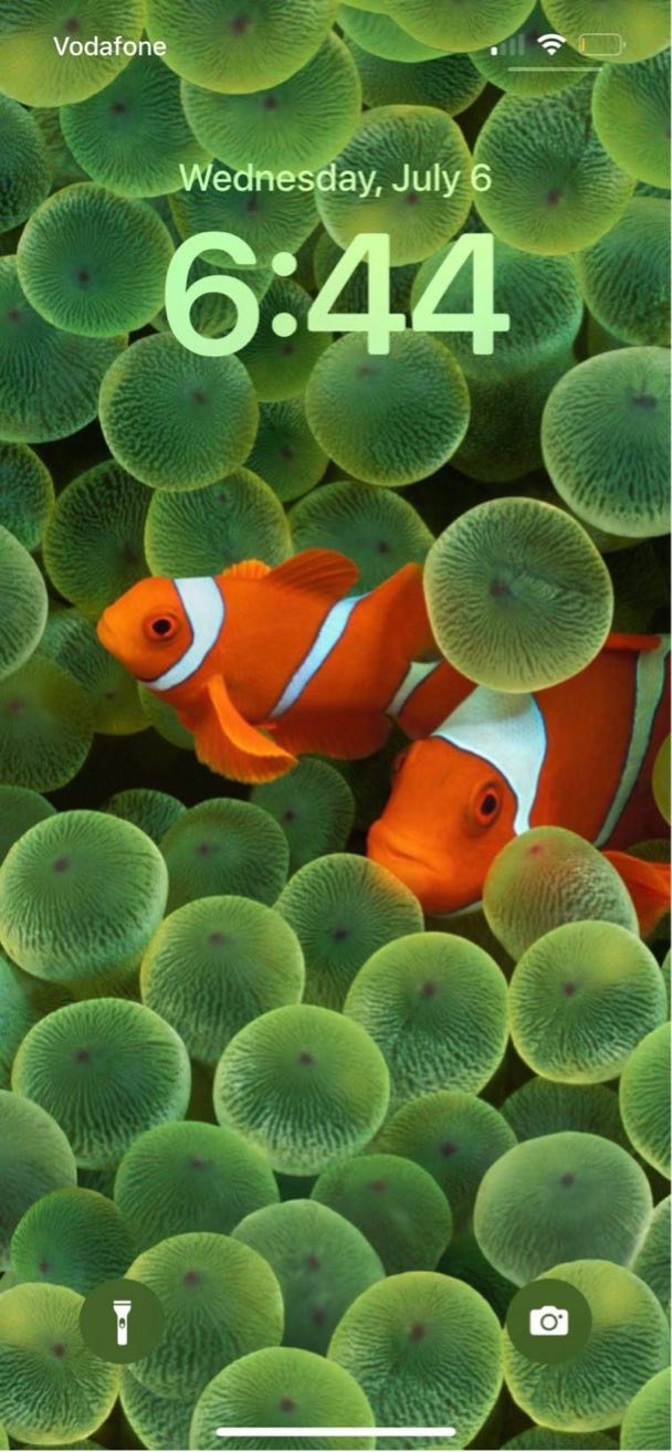 软件|爷青回!时隔多年iPhone小丑鱼壁纸再次回归