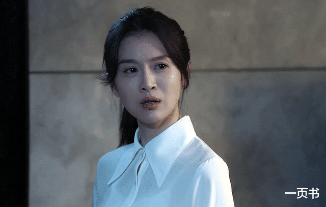 赵鹏超|《罚罪》大结局,赵家全数覆没,却有三大意难平,严国华除恶未尽