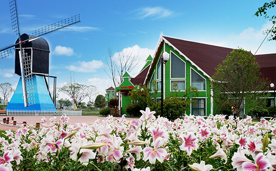 盐城|沿海盐城,绿肺之城,美丽富饶
