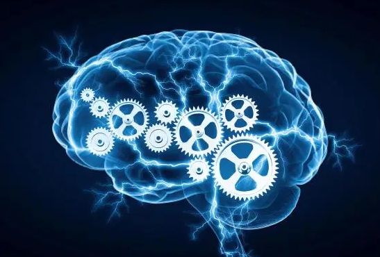 深度学习|组装足够的高质量数据,所需要的时间通常比编写深度学习解决方案还要多