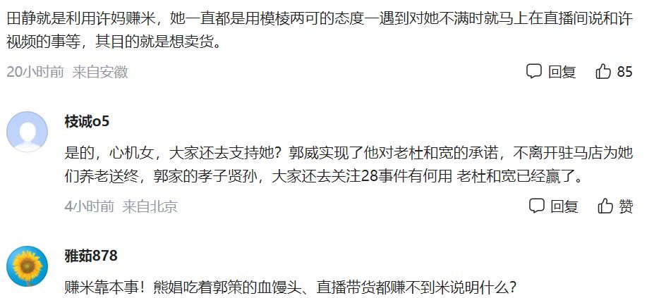 九江|田静被指利用许妈赚米,称没义务为28事件负责,是否回九江引热议