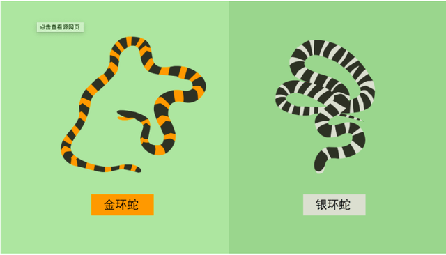 比眼镜王蛇还毒,为什么银环蛇是我国最毒的毒蛇?