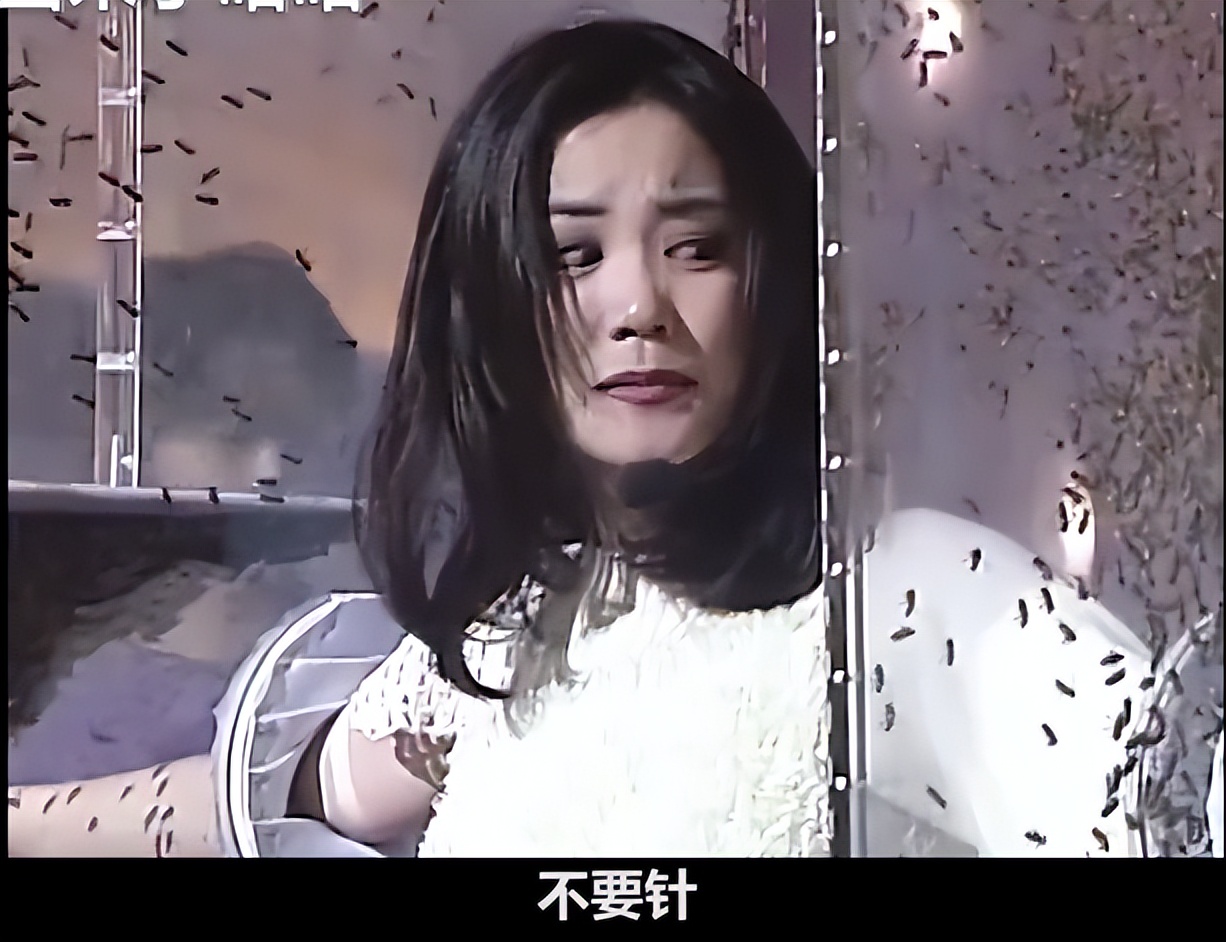 王菲|王菲唱走音了!早年双手伸蜜蜂箱唱歌,一脸惊恐唱错词还害羞