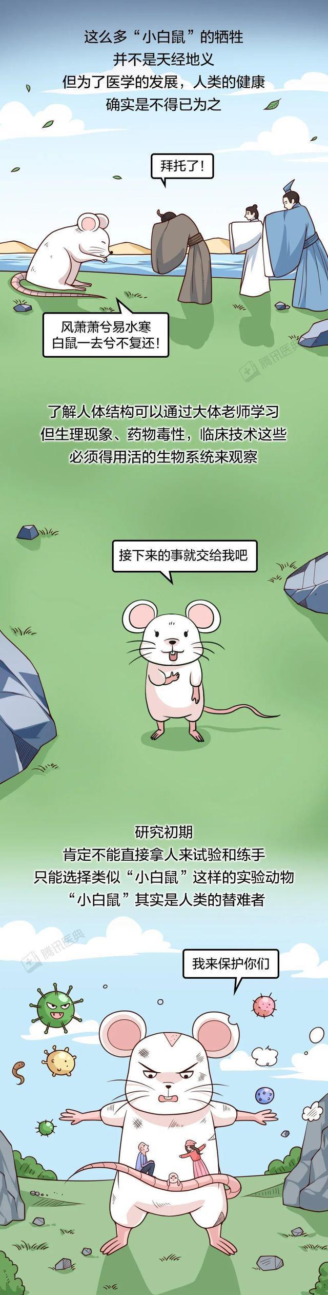 “人人喊打”的老鼠,为人类医疗做出的贡献不可估量!漫画科普
