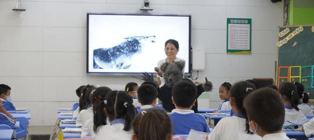 穿衣搭配|降薪之后，深圳教师招聘爆大冷，报名人数暴跌九成以上