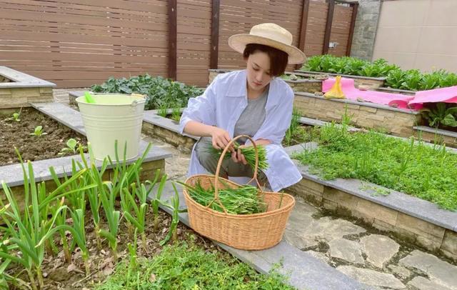 张馨予|张馨予的后花园火了:4年前嫁对了人,她终于活成了人人羡慕的小仙女