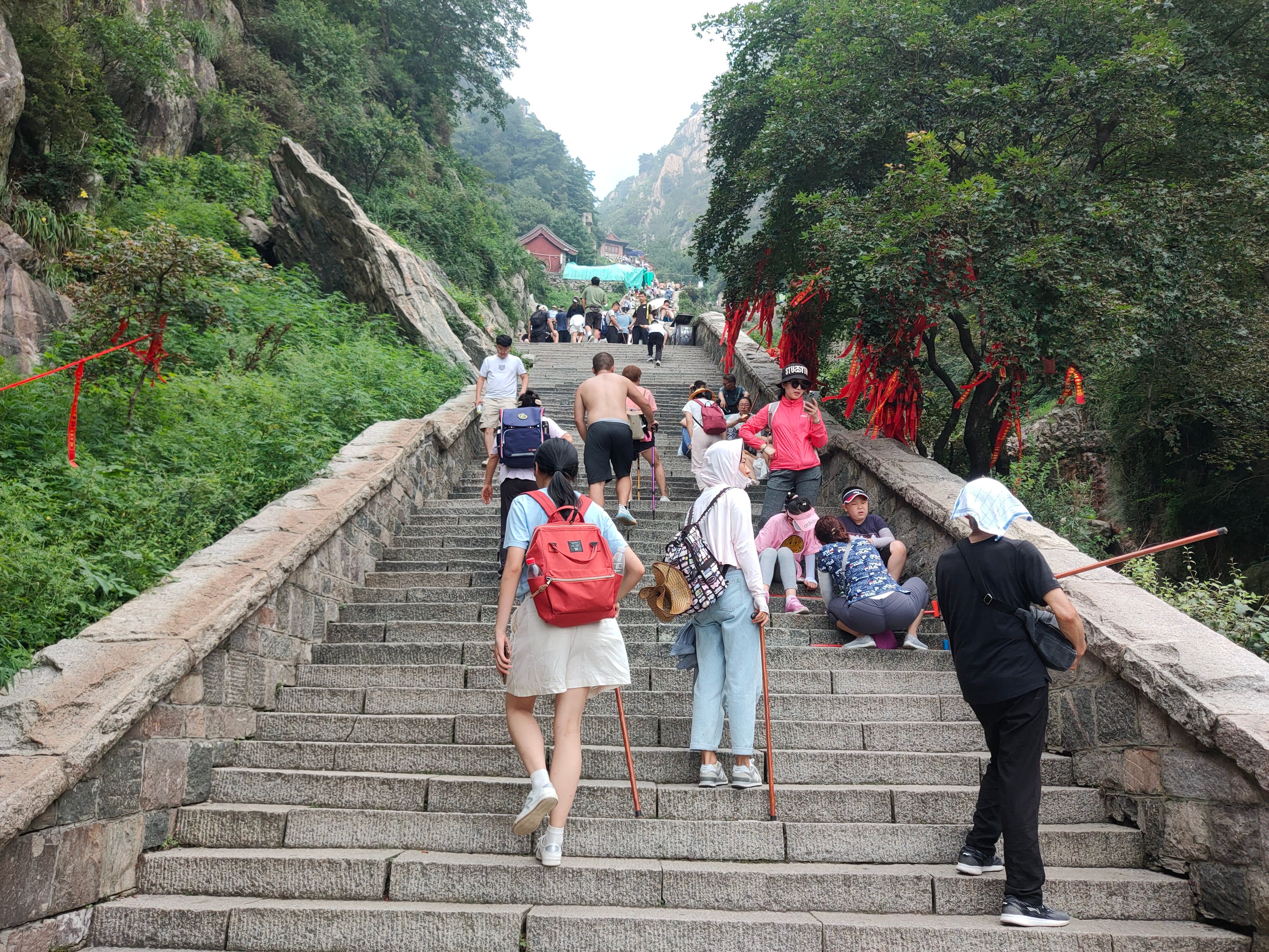 森林公园|8.1-8.9赣湘鲁万字百图非严肃旅行攻略——随便走走、看看、吃吃