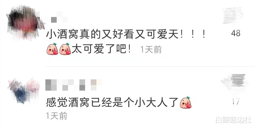 董璇|董璇带5岁女儿看话剧！酒窝五官酷似爸爸，高云翔独自下厨太心酸