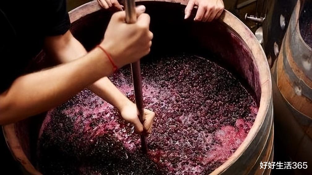 经常吃酵母蒸的馒头,对身体有害吗?为了家人的健康,不妨看看