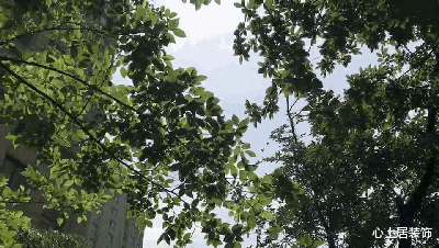 初春家装新潮流,把春天装进家里