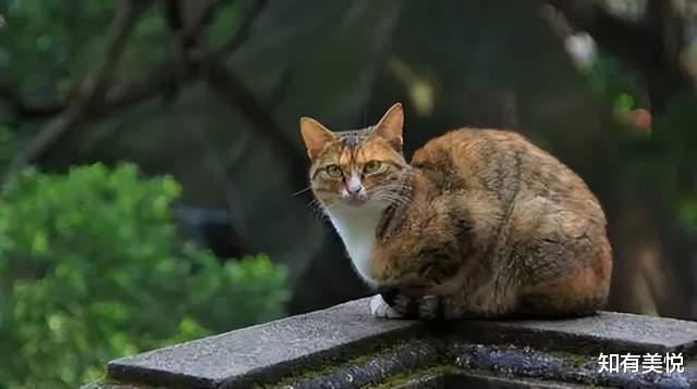 古镇|适合夫妻牵手旅行的8处风景地，每个都浪漫至极！你们去过几个？