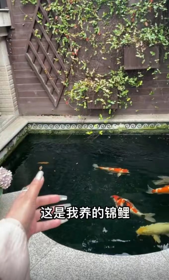 千百惠|59岁千百惠阳康后得带状疱疹!嘴上疤痕明显,容貌大变陷整容风波