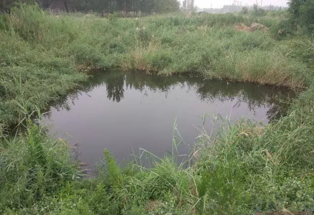 天津市|血奴、传销、性服务、信息泄露,网络招聘平台已成“罪恶温床”