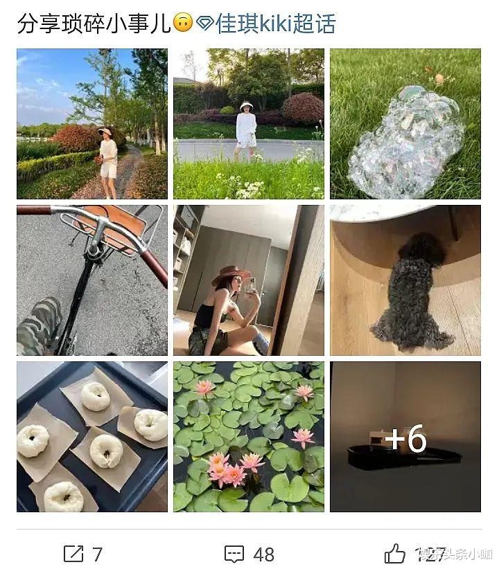 杨旭文|知道吗？他身上只要有瓜，就一定上热搜！