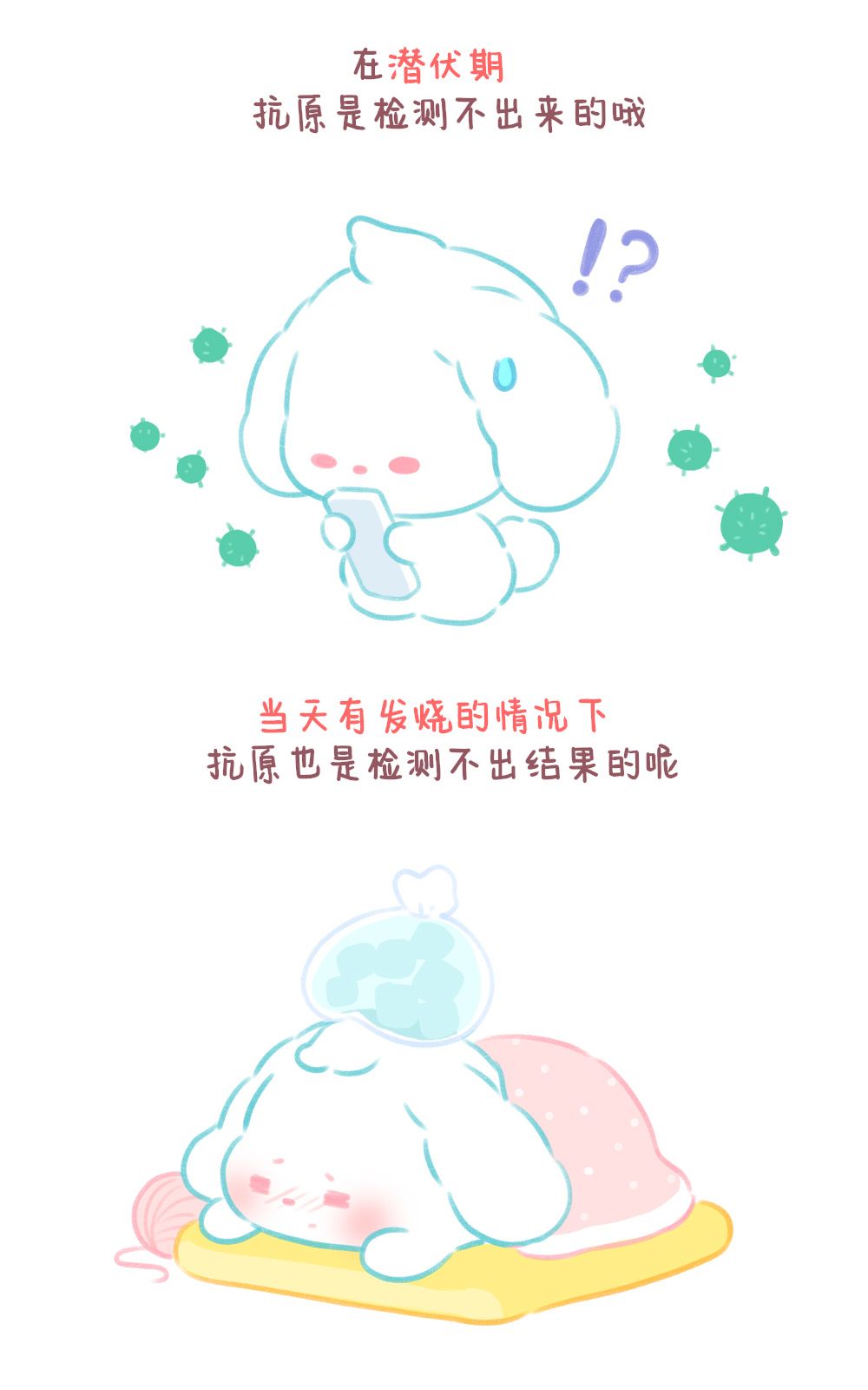 比熊睡睡|抗原自测注意事项
