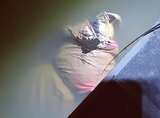 天亮之后|江苏一男子河里夜钓,勾起捆绑成人形的棉被,里面的东西让人意外