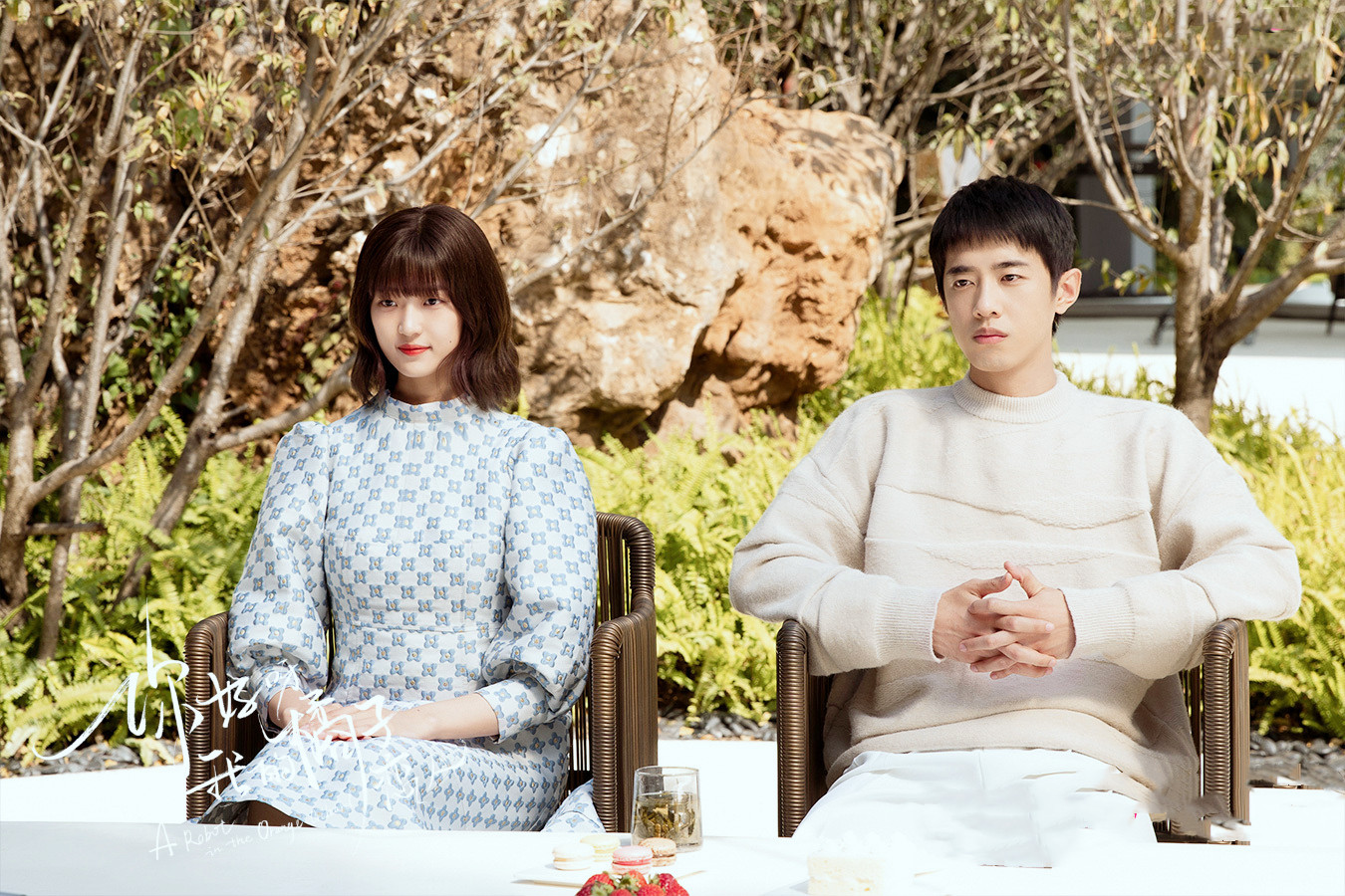 你好呀|《你好呀我的橘子恋人》：陆森对谎言过敏，星期五是救赎也是深渊