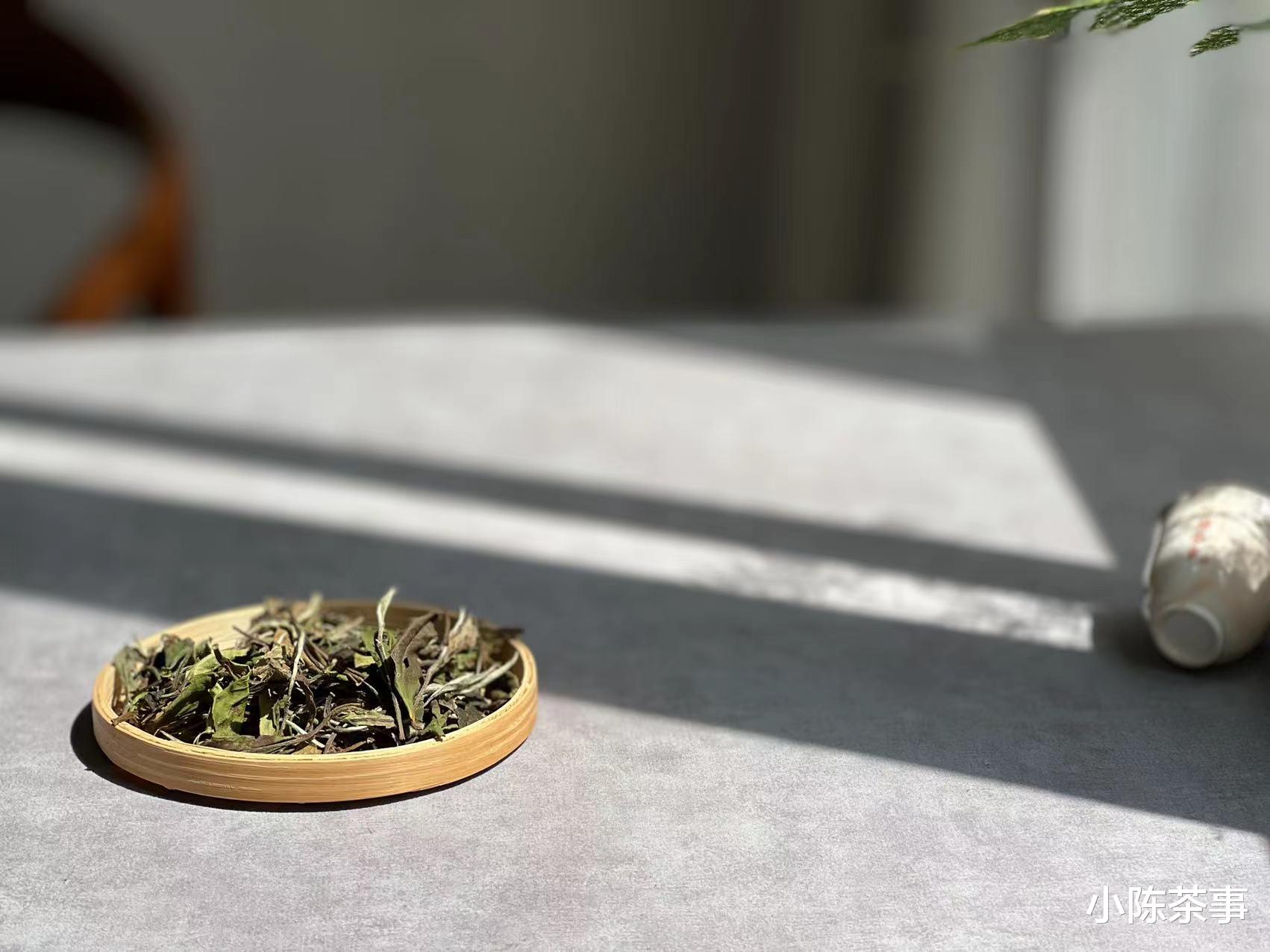 家里的茶一不小心存受潮了怎么办？要晒一晒，还是放微波炉烘干？