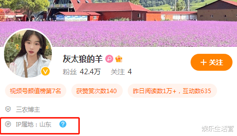 噶羊少女删除对丈夫控诉,经纪人买号分散视线?疑钱到手就抛弃她
