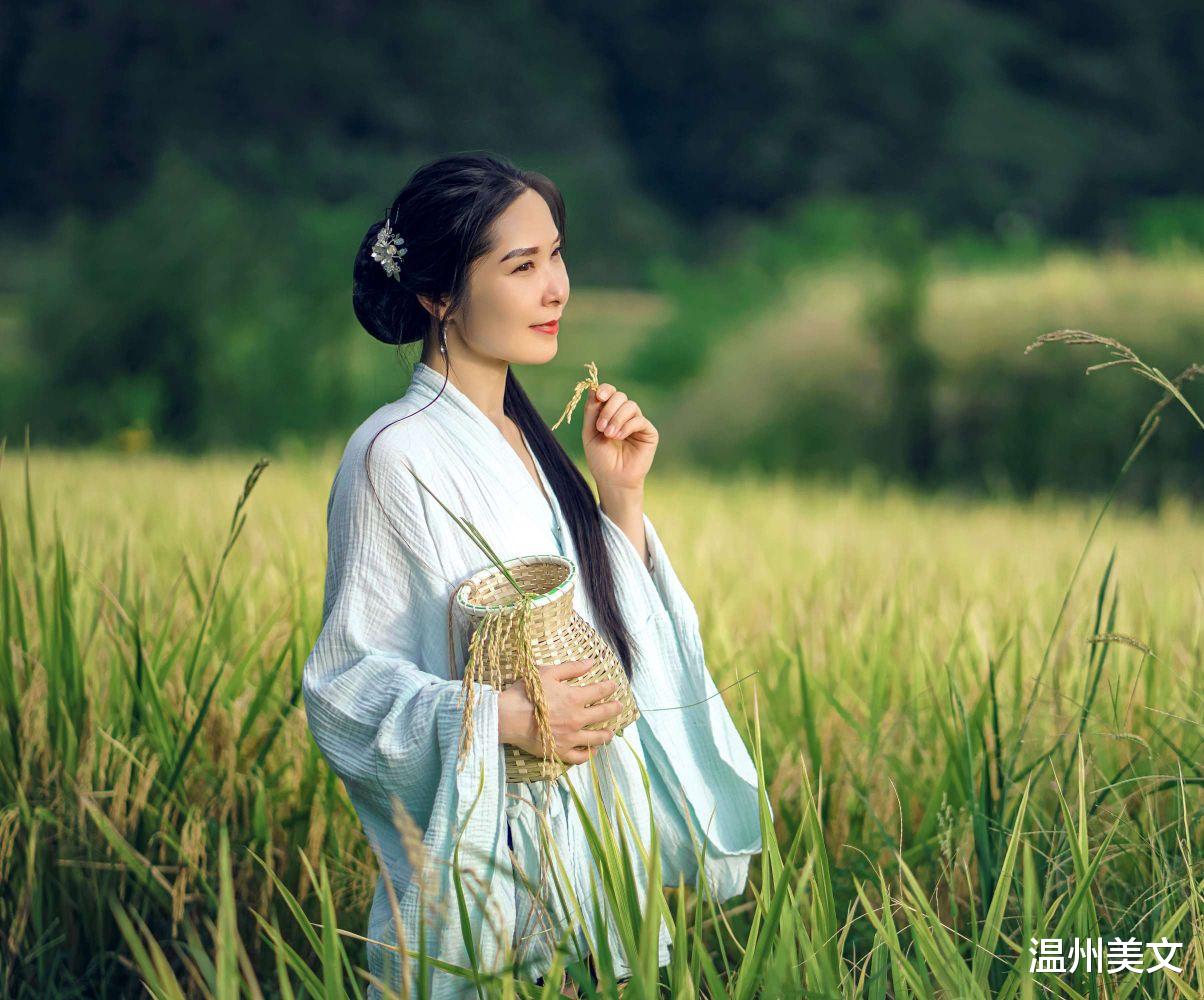 |稻田间走走，熟悉的地方也能看见美景