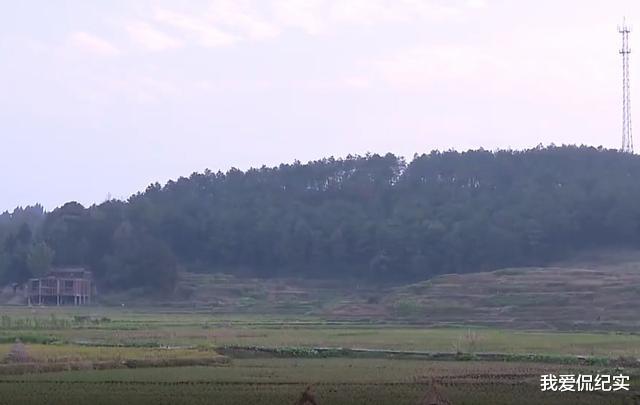 闪婚|2021年,“阔佬富婆”认识八天闪婚,婚后才知双方都是穷光蛋