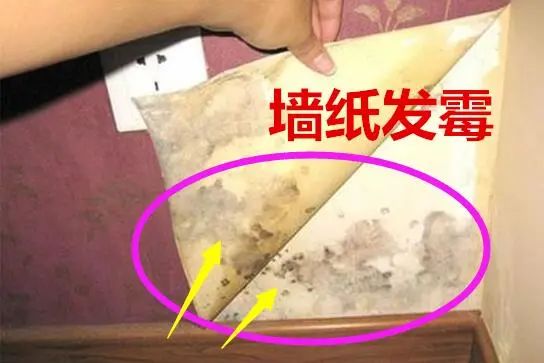 许多人墙上没有刷乳胶漆,没有贴墙纸,到底是个啥?越来越流行