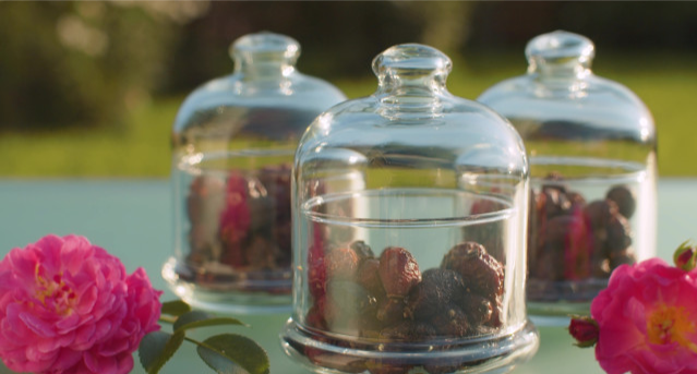 中药材|冬天喝点“自泡药酒”可滋补身体,但有6个误区不要踩,早做了解