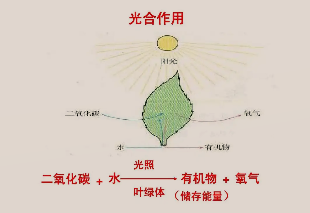 地球六大未解之谜:生命?氧气?我们仅是接触到地球的皮毛而已