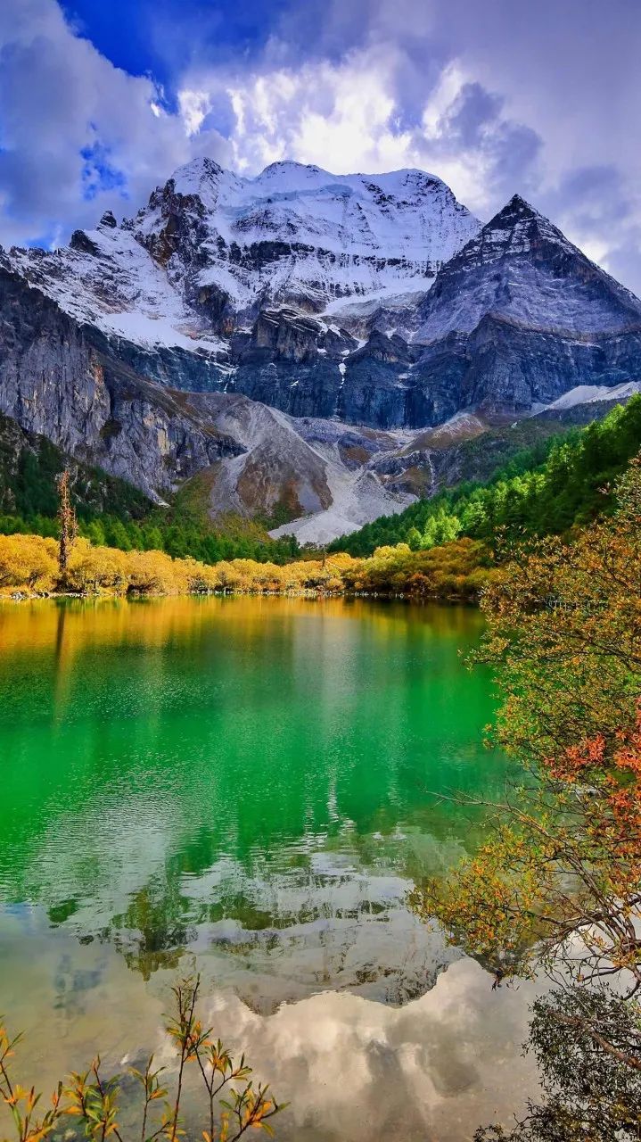 胡杨林|中国十大最美秋色,哪个是你心中的no.1?