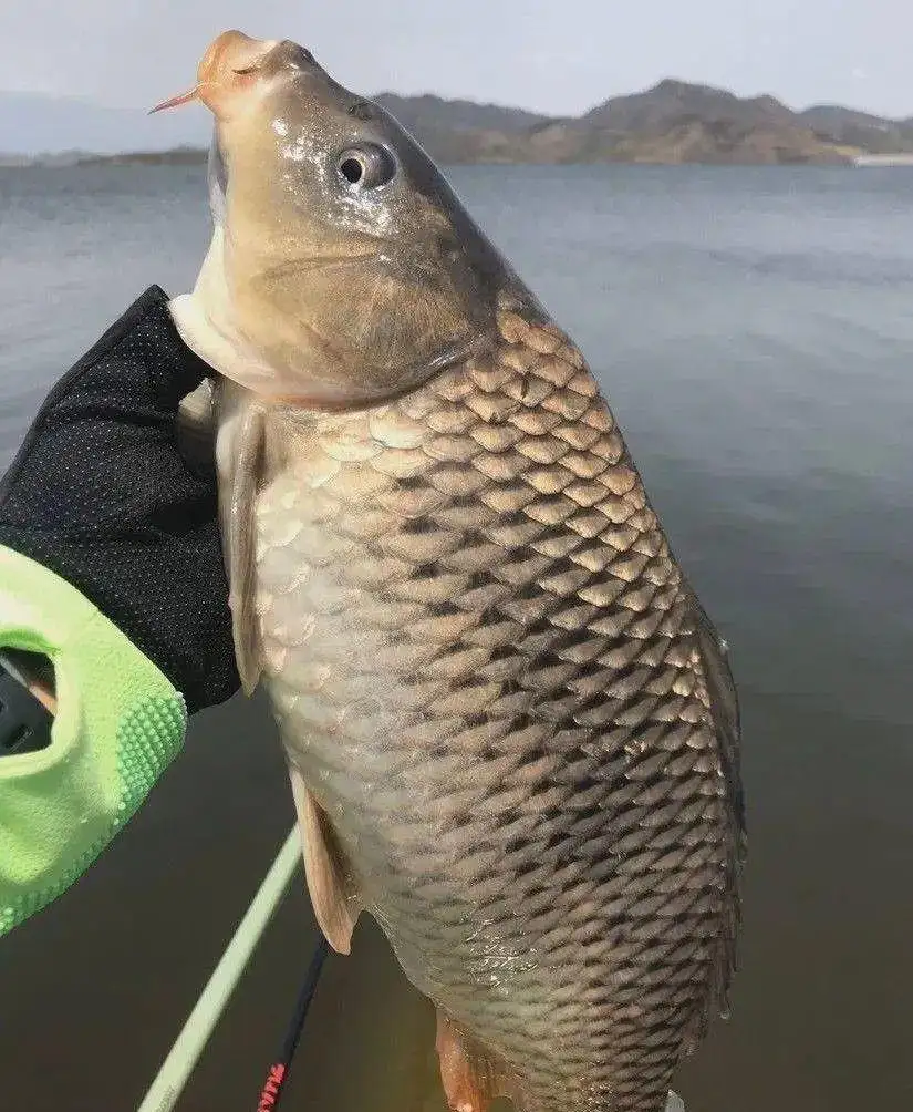 水库|贵州黔南，男子不听劝阻带女儿去鱼塘钓鱼