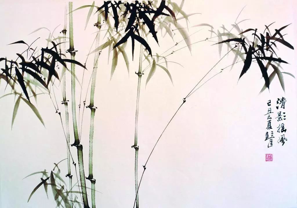 摄影技巧：竹子这样拍，真是美极啦！