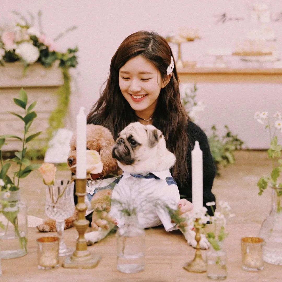 爱豆丨赵露思头像表情包