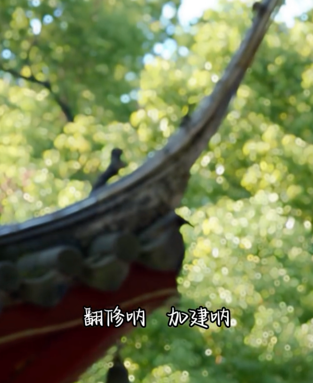 寺庙|向太夫妇现身寺庙吃斋饭！未佩戴珠宝大力敲钟，双腿超细暴瘦太多