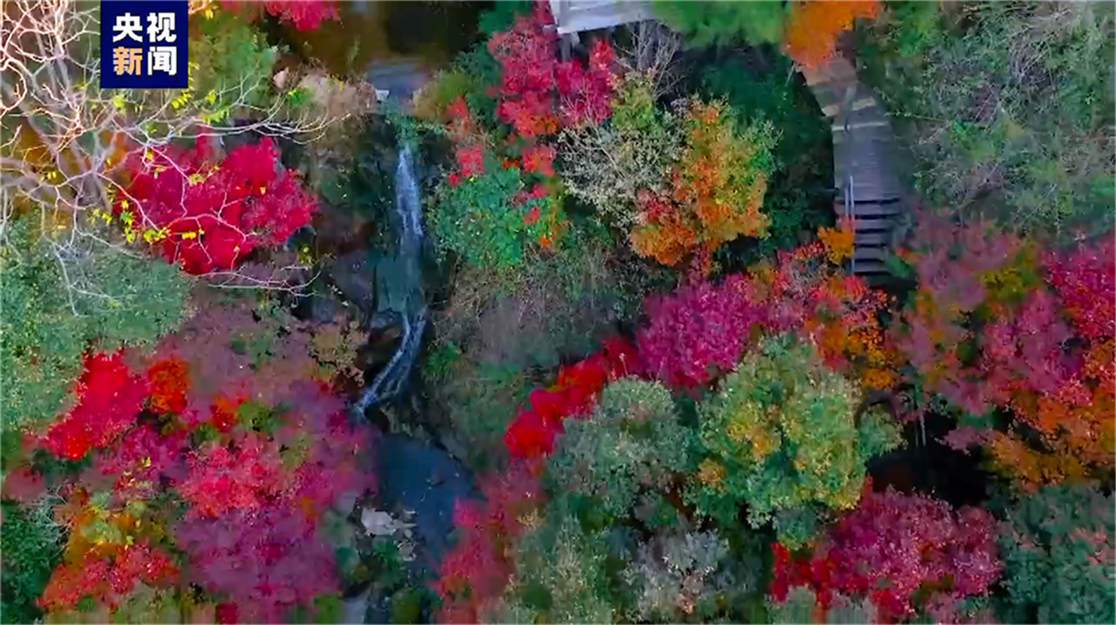 呼伦贝尔|被央视点赞的绝美赏秋地，马上迎来颜值巅峰，现在知道还不晚!